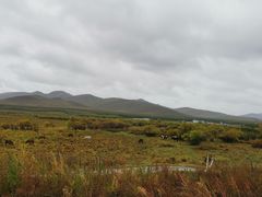 -塞罕坝国家级自然保护区