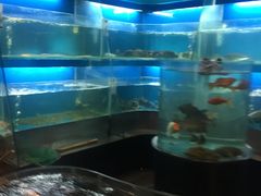 -眉州东坡(北苑华贸店)