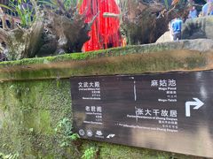 -青城山