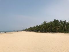 -三亚湾海居铂尔曼度假酒店