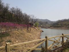 -伏羲大峡谷