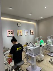-洗脸猫·洗脸吧
