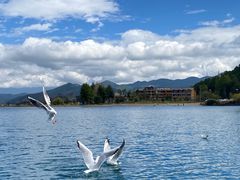 -丽江泸沽湖景区