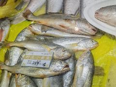 -拉完海鲜大排档(温岭店)