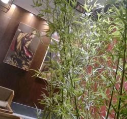 点击看大图 -盘子女人坊古装写真摄影(长春总店)