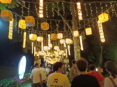 -广西壮族自治区药用植物园