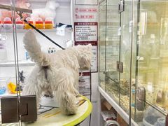 -它主义宠物(梁溪万达店)