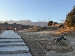 -白水寺森林公园