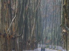 -灵谷景区