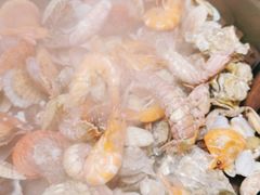 -大锅强·蒸海鲜青岛菜(吾悦广场店)