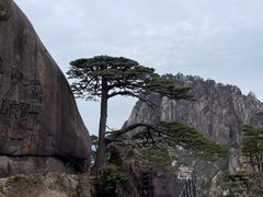 -黄山风景区