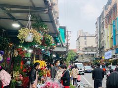 -溪岸路花鸟市场