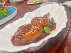 -丁老爷子苏香圆