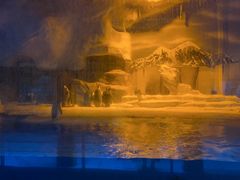 -海合安成都极地海洋公园