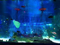 -沈阳海洋探索中心