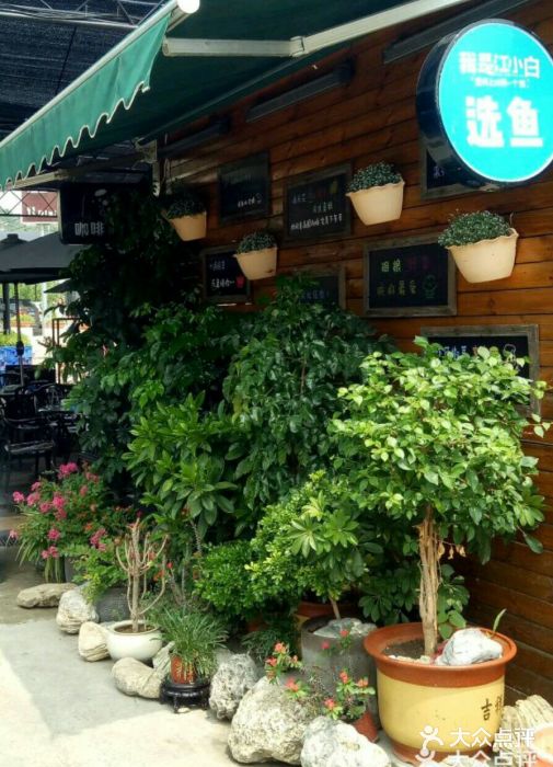 渔家傲-图片-怀柔区美食-大众点评网