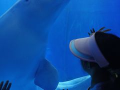 -多彩贵州城极地海洋世界