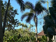 -三亚海棠湾万丽度假酒店