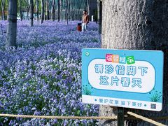 -将府公园