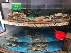 -马王堆海鲜水产市场