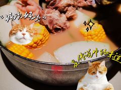 -肥仔文澳门猪骨煲(南京西路店)