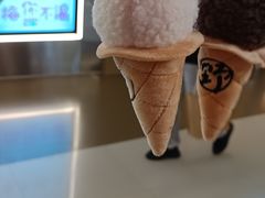 -野人先生现做冰淇淋(北京王府井东方新天地店)