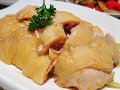 白鸡（海南鸡）-星平鸡饭·粤菜小炒(印象城旗舰店)
