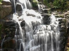 -海南热带雨林国家公园吊罗山景区