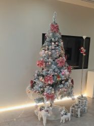 -VE专注问题肌·赛诺龙&科学美肤中心