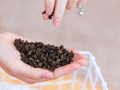 -奈雪的茶(青岛卓悦里INTOWN店)