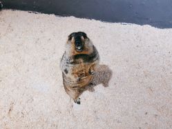 -酷嗒动物文化乐园(cutezoo西溪乐天城店)