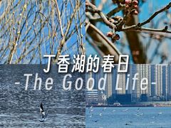 -丁香湖公园