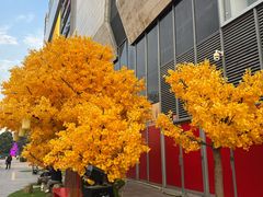 -龙湖杭州滨江天街