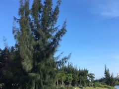 -白沙门生态公园