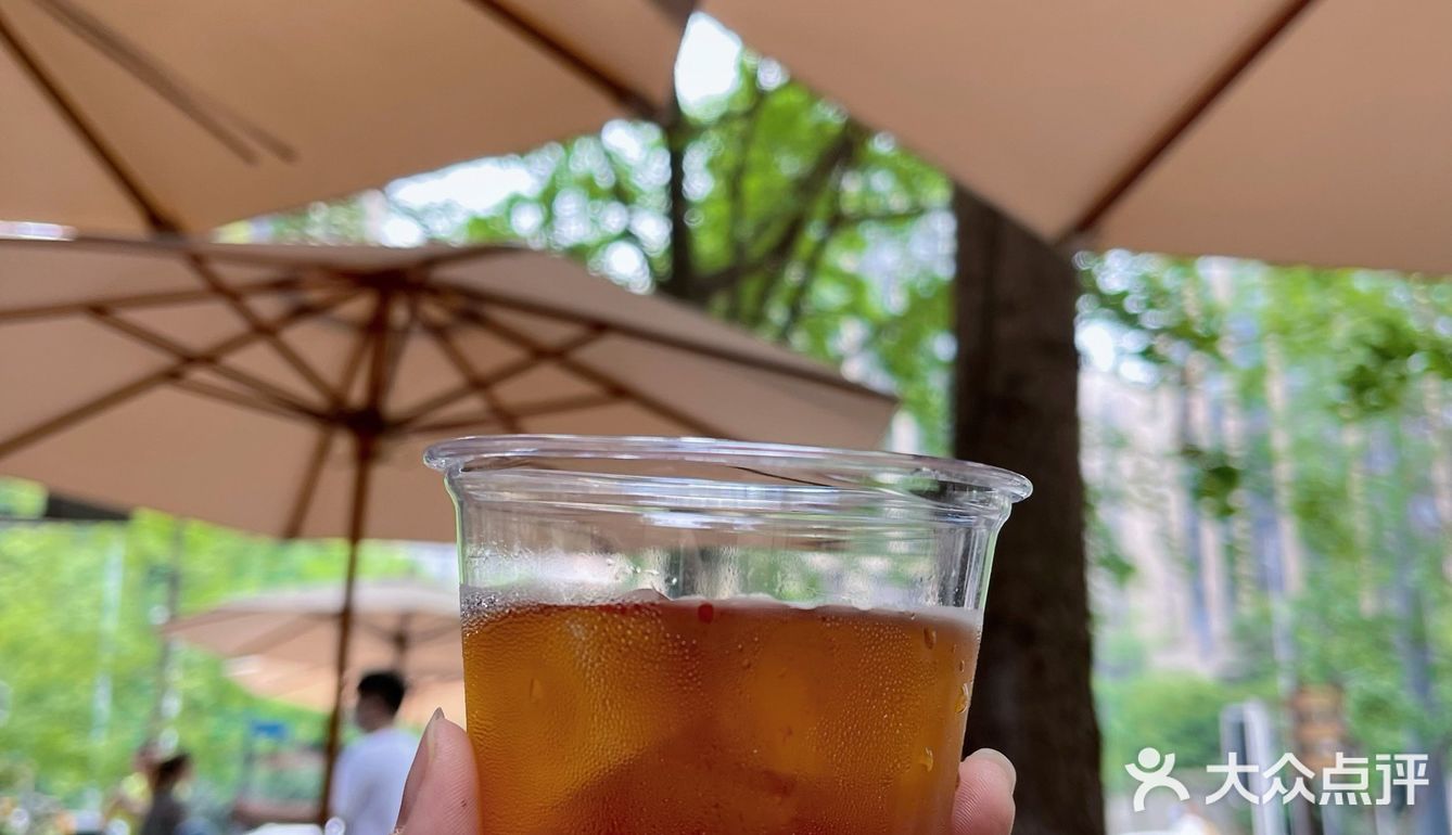 成都这一家法式咖啡厅可以冲！🌿太好拍啦！☕️
