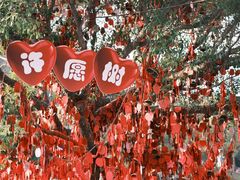 -温州乐园