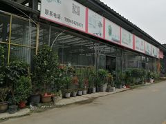 -金科花卉市场