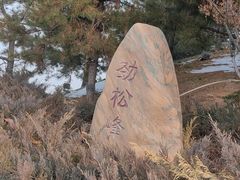 -河北省园博园