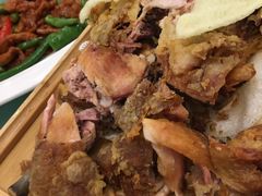-正阳春烤鸭(华捷道店)