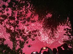 -橘子洲景区