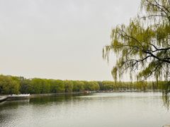 -北陵公园