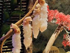 -蟹犇前•帝王蟹雪蟹(陆家嘴店)