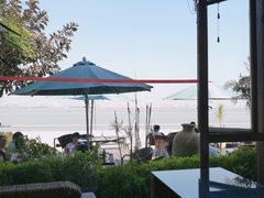-大湾区中央湿地公园