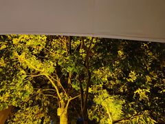 -T館·花园艺术餐厅