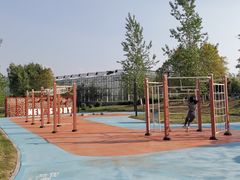 -莫子山公园