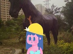 -前关湿地公园