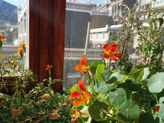 -四姑娘山阿巴郎·藏式花园餐厅