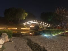-东阿阿胶文化酒店
