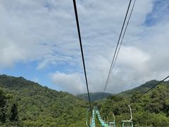-野象谷景区