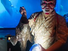 -地球美食剧场